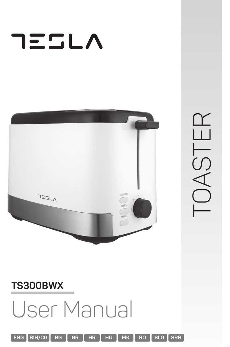 Tesla TS300BWX user manual
