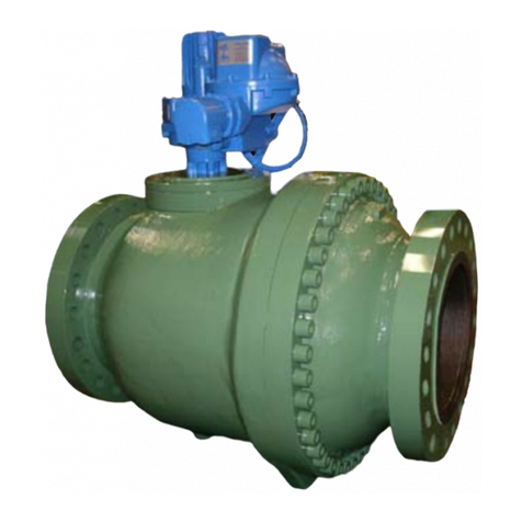 RMG 530-E-WG manual