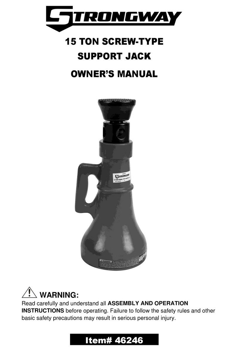 Strongway 46246 User manual