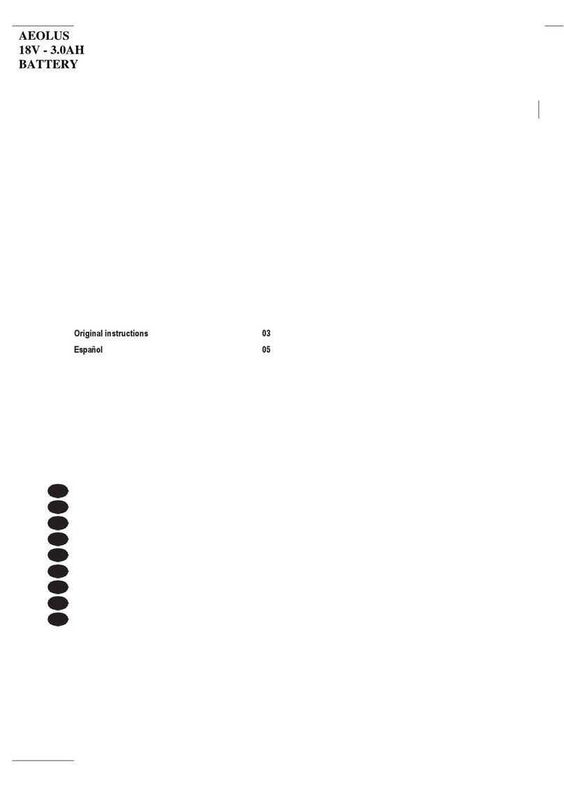 aeolus CDA1155 Original instructions