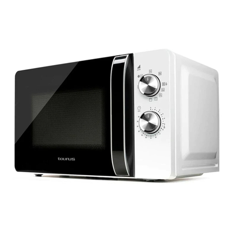 Taurus FASTWAVE 20 manual