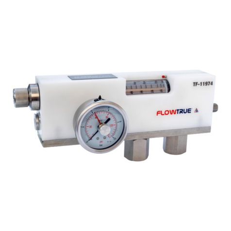 AESSEAL FLOWTRUE FTP-50-145 Installation, operation & maintenance manual
