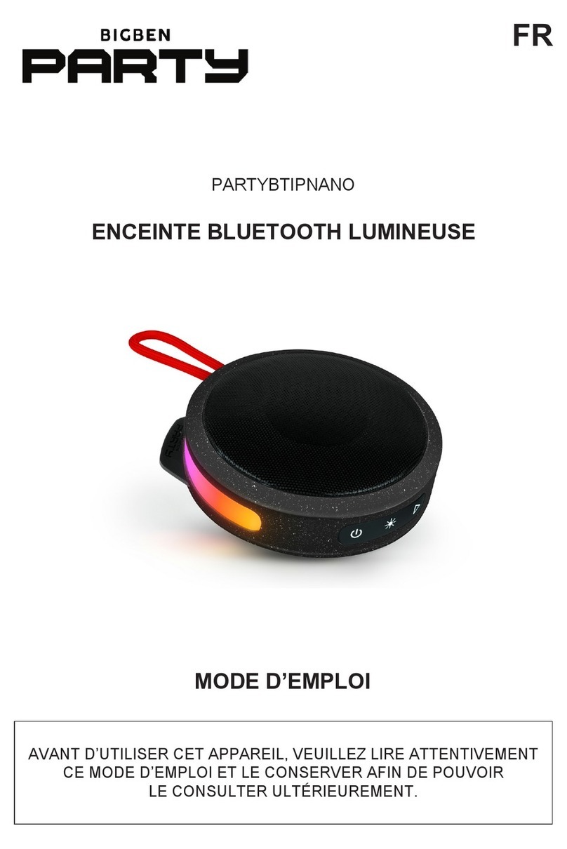 Bigben PARTY PARTYBTIPNANO User manual