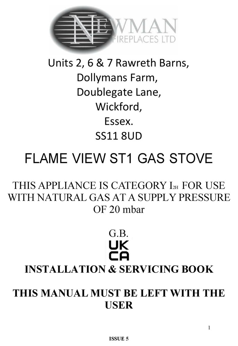 Newman FLAME VIEW ST1 Installation & servicing book