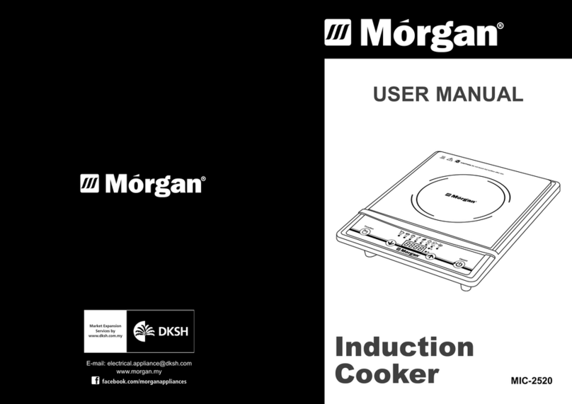 Morgan MIC-2520 User manual