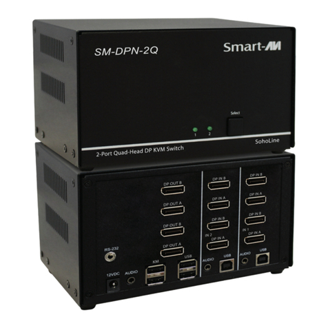 SMART-AVI SM-DPN-2Q User manual