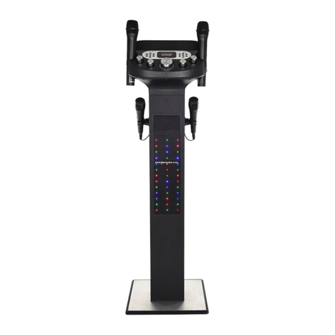 Easy Karaoke EKS668 user manual