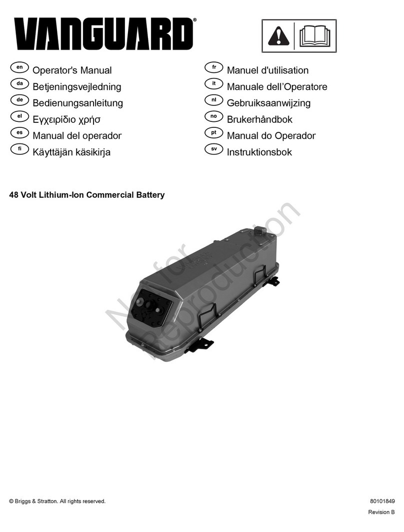 Vanguard Fi3.8 Operator's manual