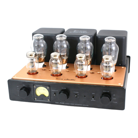 icon Audio Stereo 300 MK II Guide