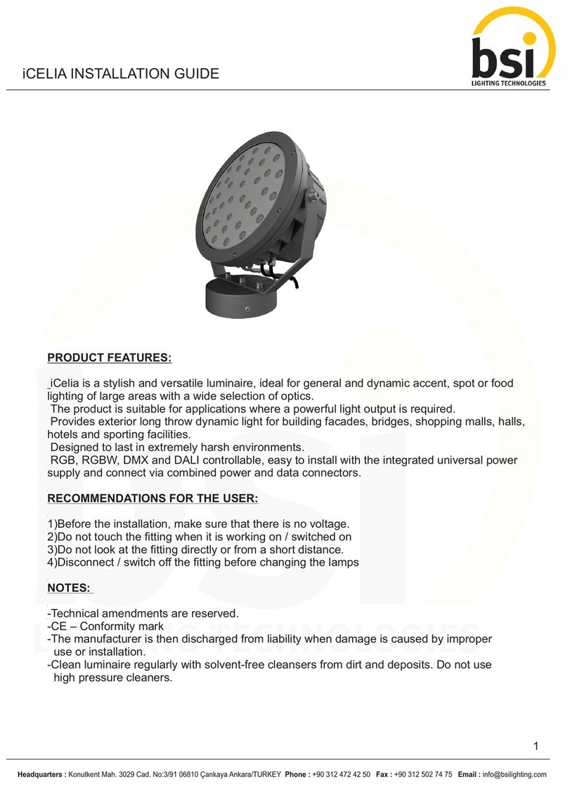 BSi iCELIA installation guide