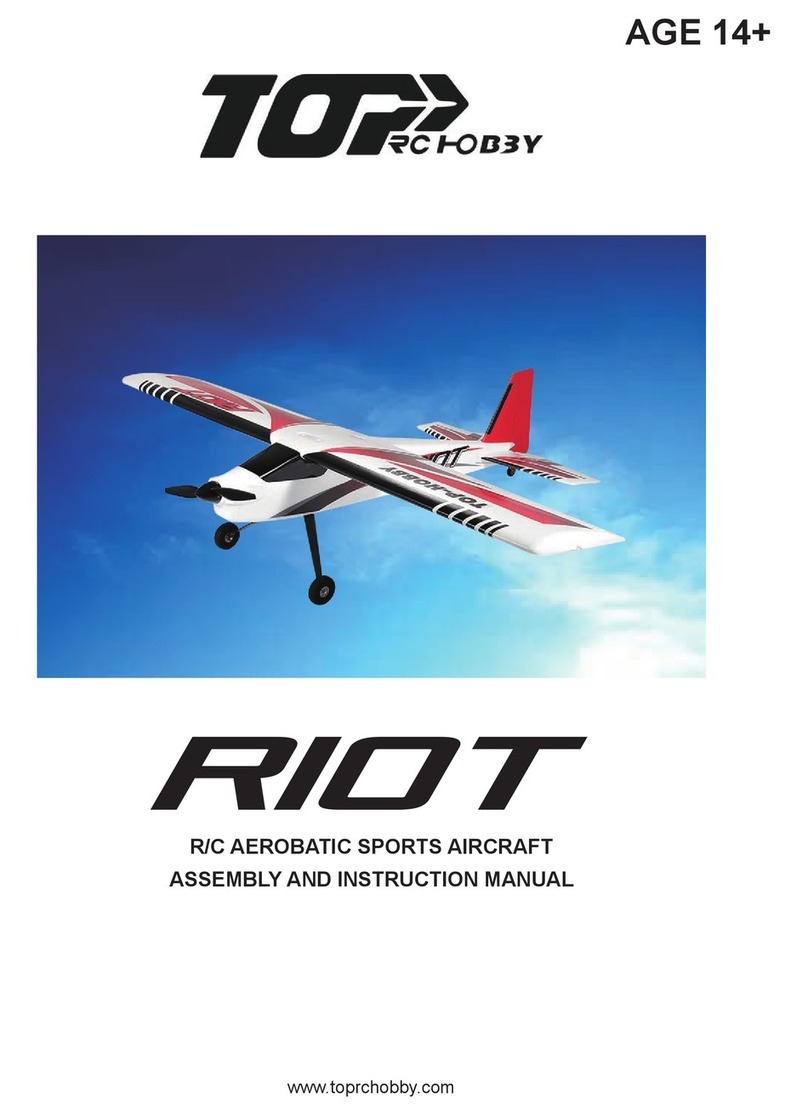 Top R/C Hobby RIOT Assembly and instruction manual