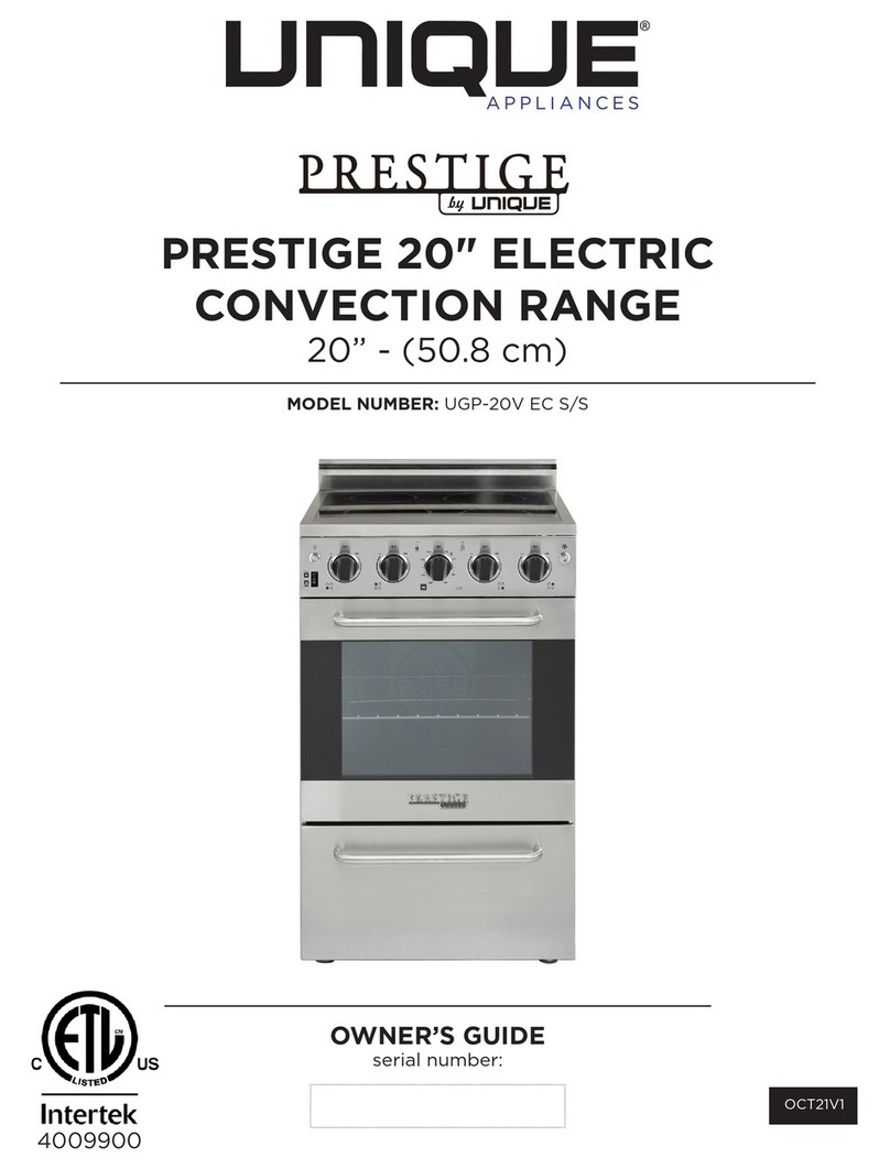 Unique UGP-20V EC S/S User manual
