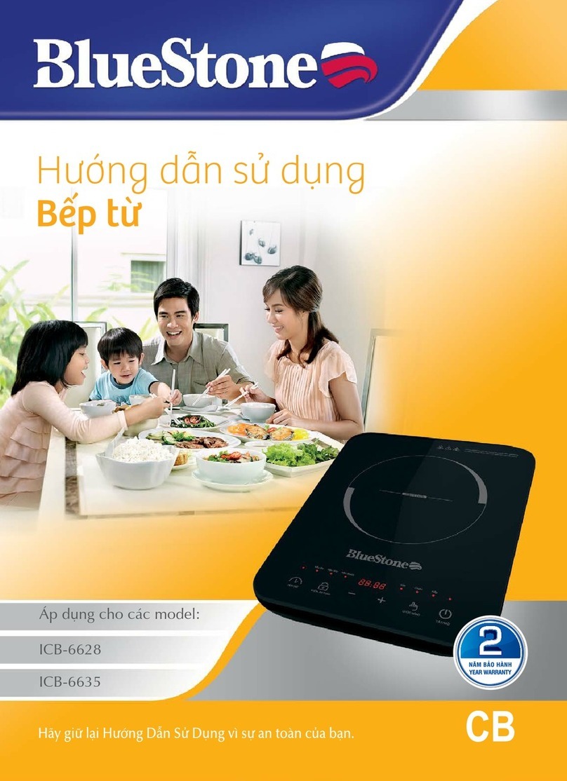 BLUE STONE ICB-6628 User manual
