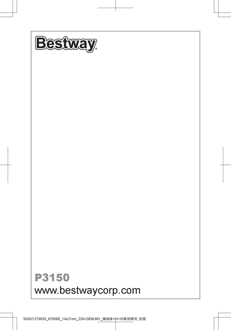 Bestway P3150 owner's manual