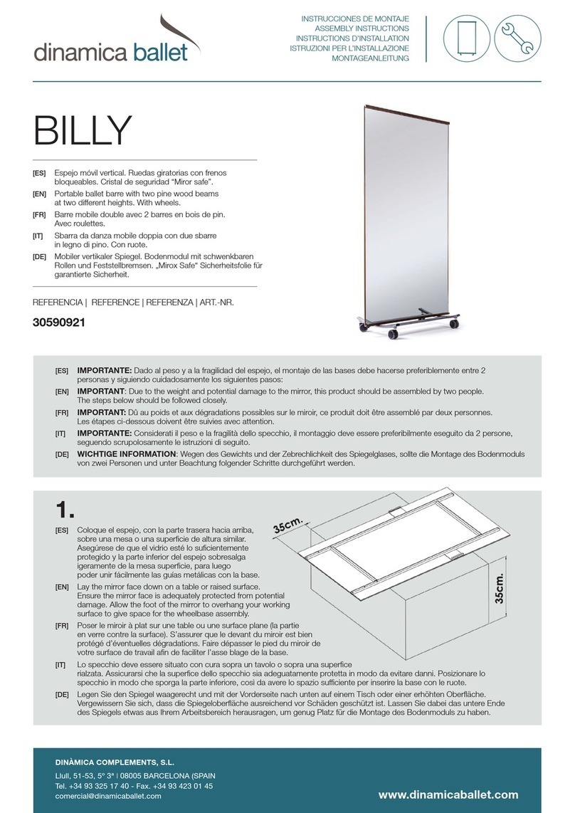 dinamica ballet BILLY User manual