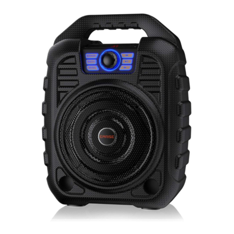 Earise T26 user manual