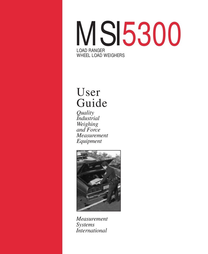 Measurement Systems MSI5300 user guide