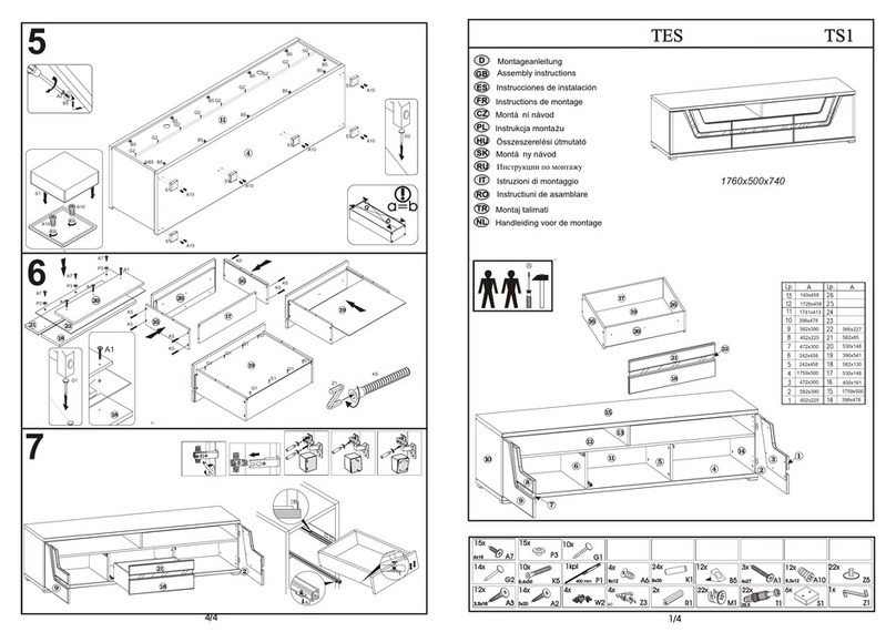 NABBI TES TS1 User manual NABBI TES TS1 User manual