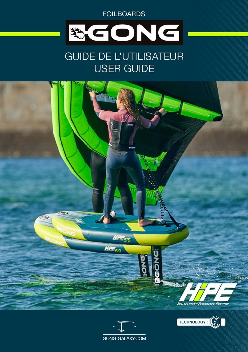 Gong HIPE User manual