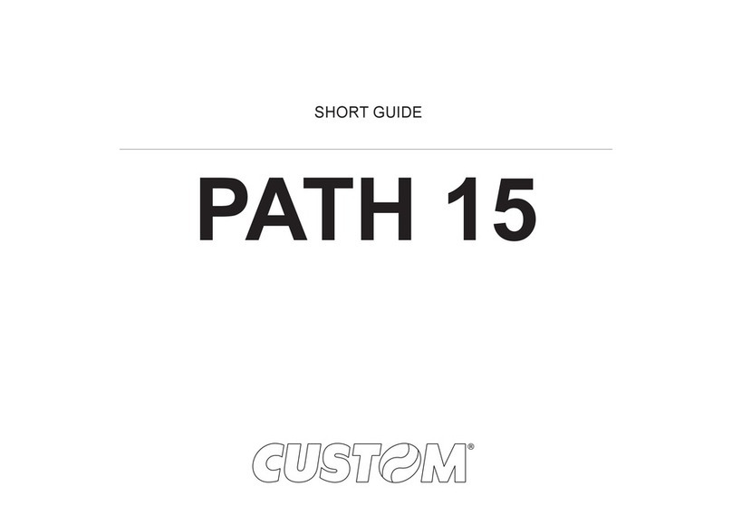 Custom Audio Electronics PATH 15 Short guide