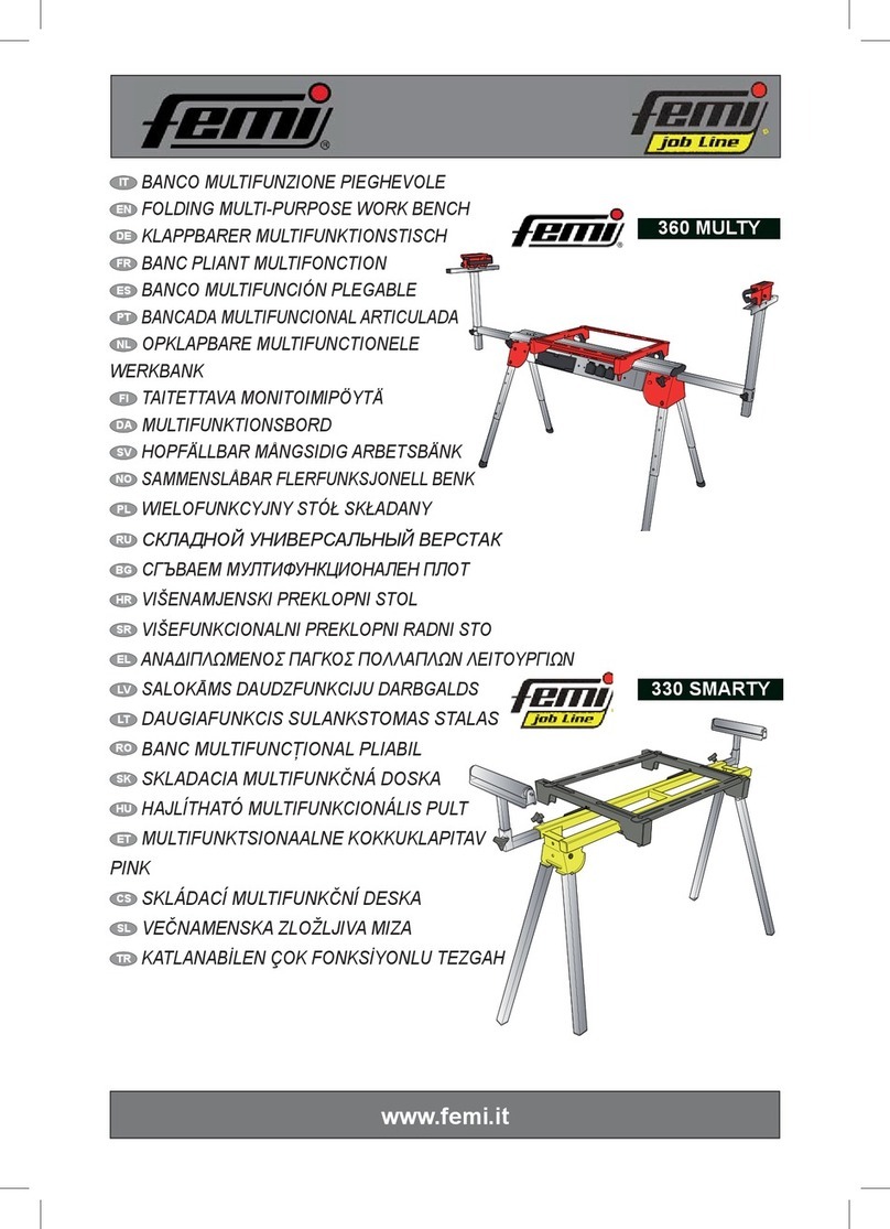 Femi 360 MULTY User manual
