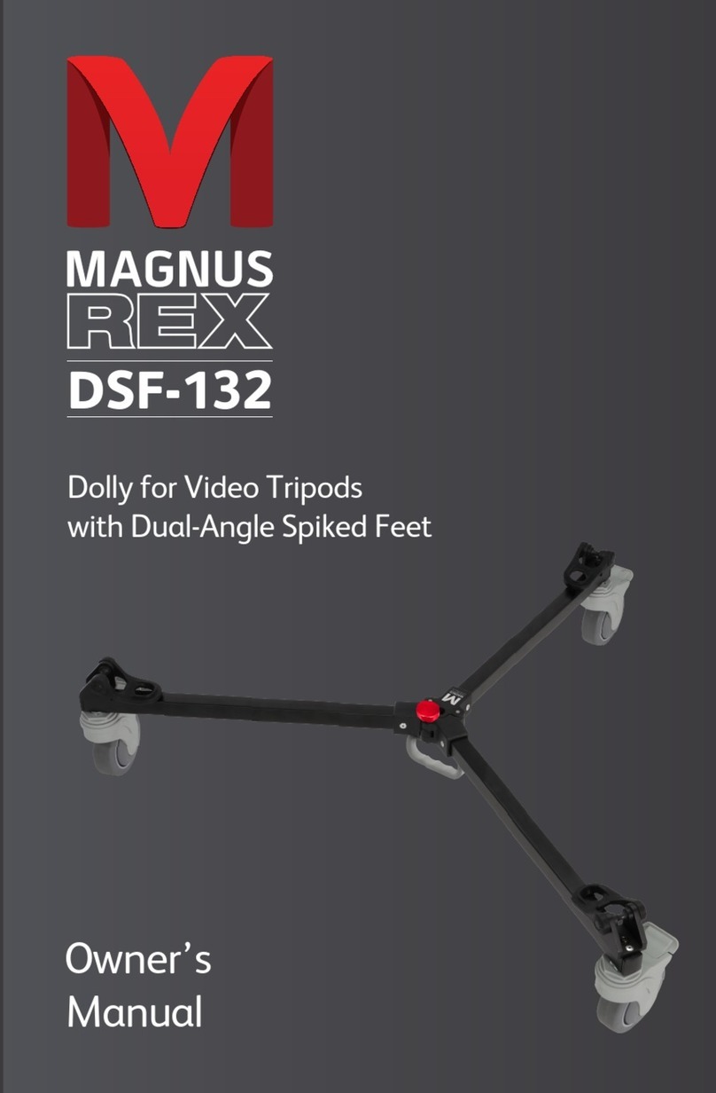 Gradus Group MAGNUS REX DSF-132 User manual Gradus Group MAGNUS REX DSF-132 User manual