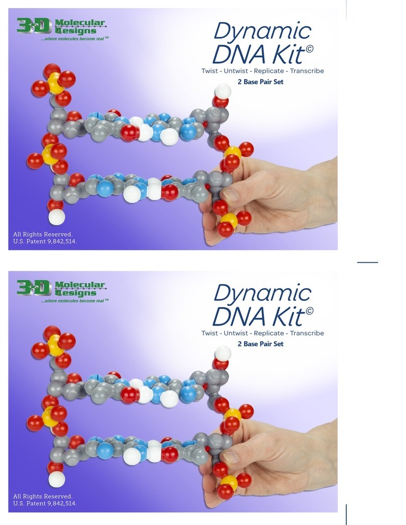 3D Molecular Designs Dynamic DNA Kit manual 3D Molecular Designs Dynamic DNA Kit manual