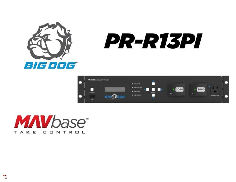 BigDog PR-R13PI User manual