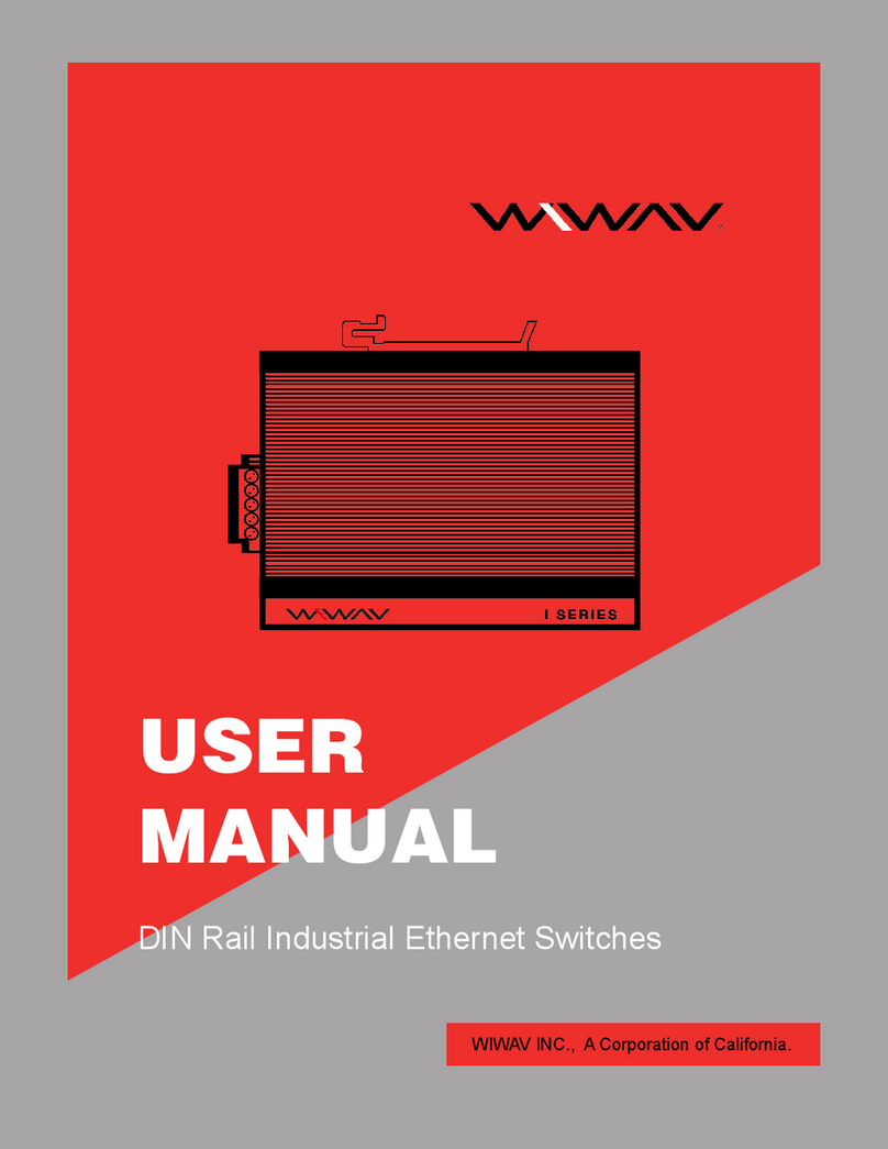 Wiwav W1003-2FE1FX-I user manual