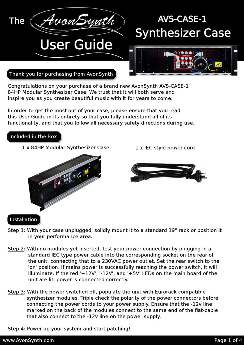 AvonSynth AVS-CASE-1 user guide