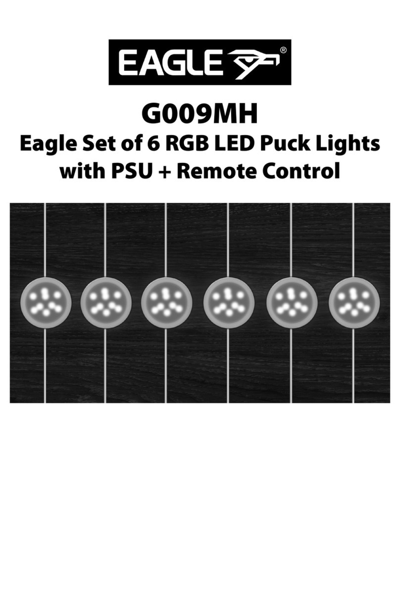 Electrovision Eagle G009MH instruction manual