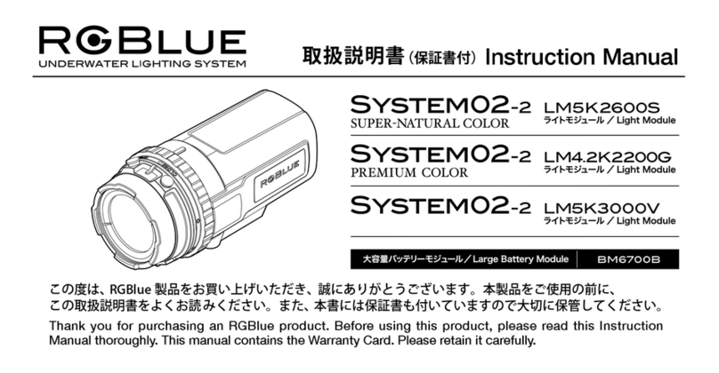 RGBlue SYSTEM02-2 SUPER-NATURAL COLOR instruction manual