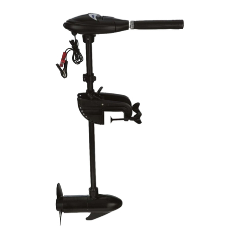 Intex BM4212 manual