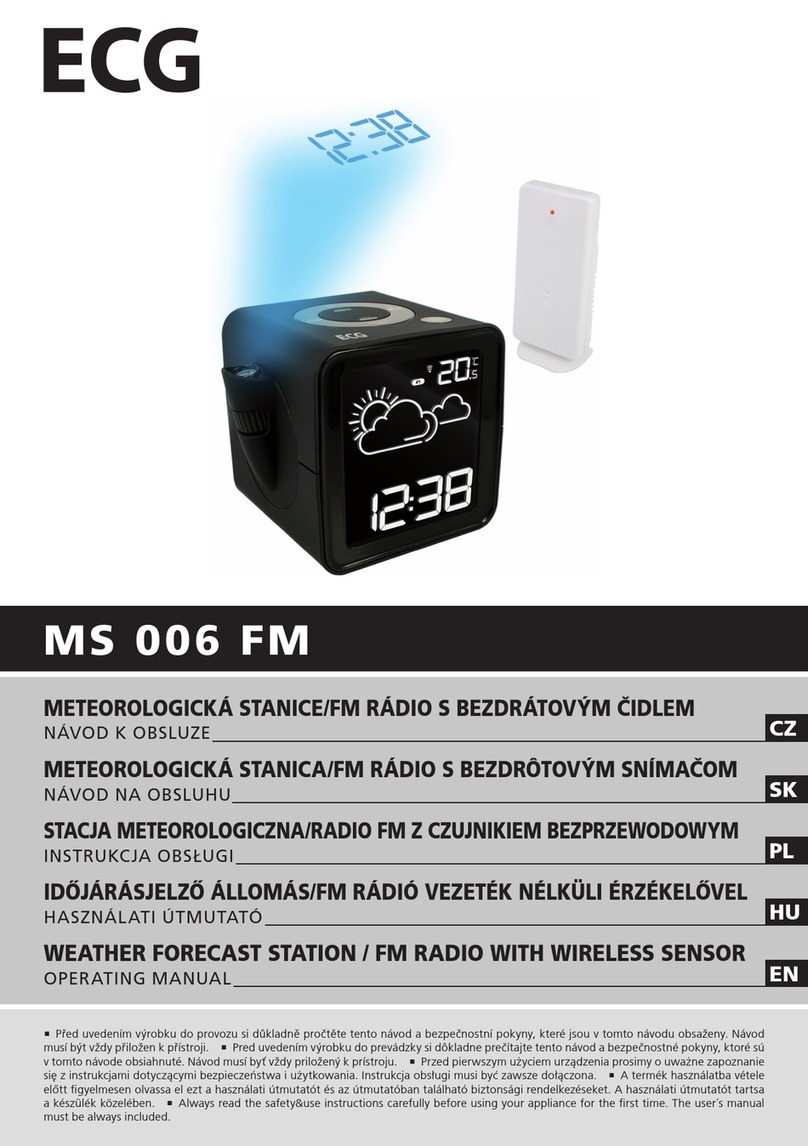 EGG MS 006 FM User manual