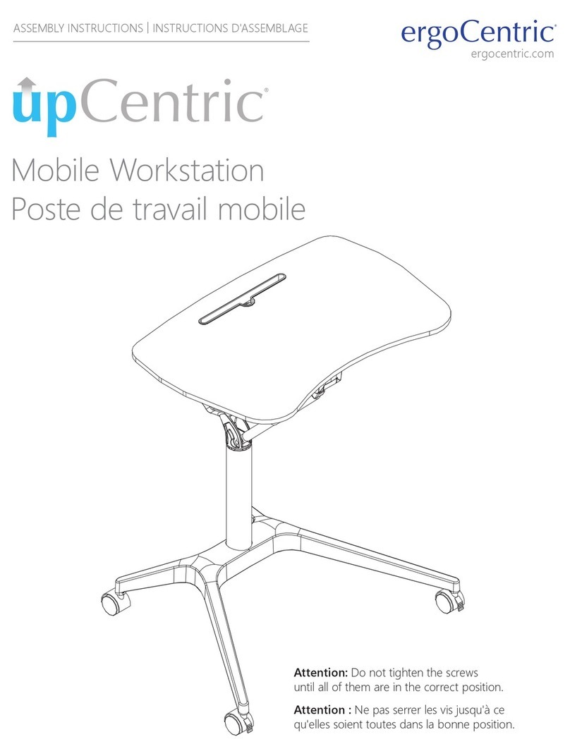 ErgoCentric upCentric User manual