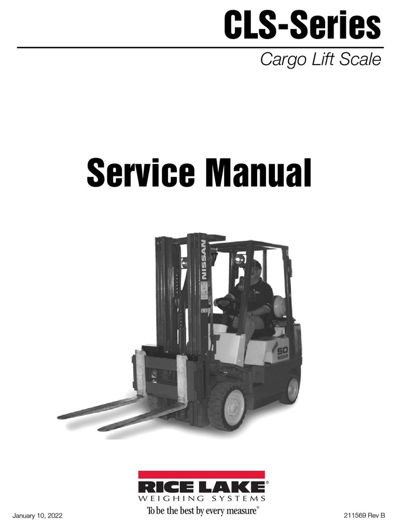 Rice Lake CLS Series User manual