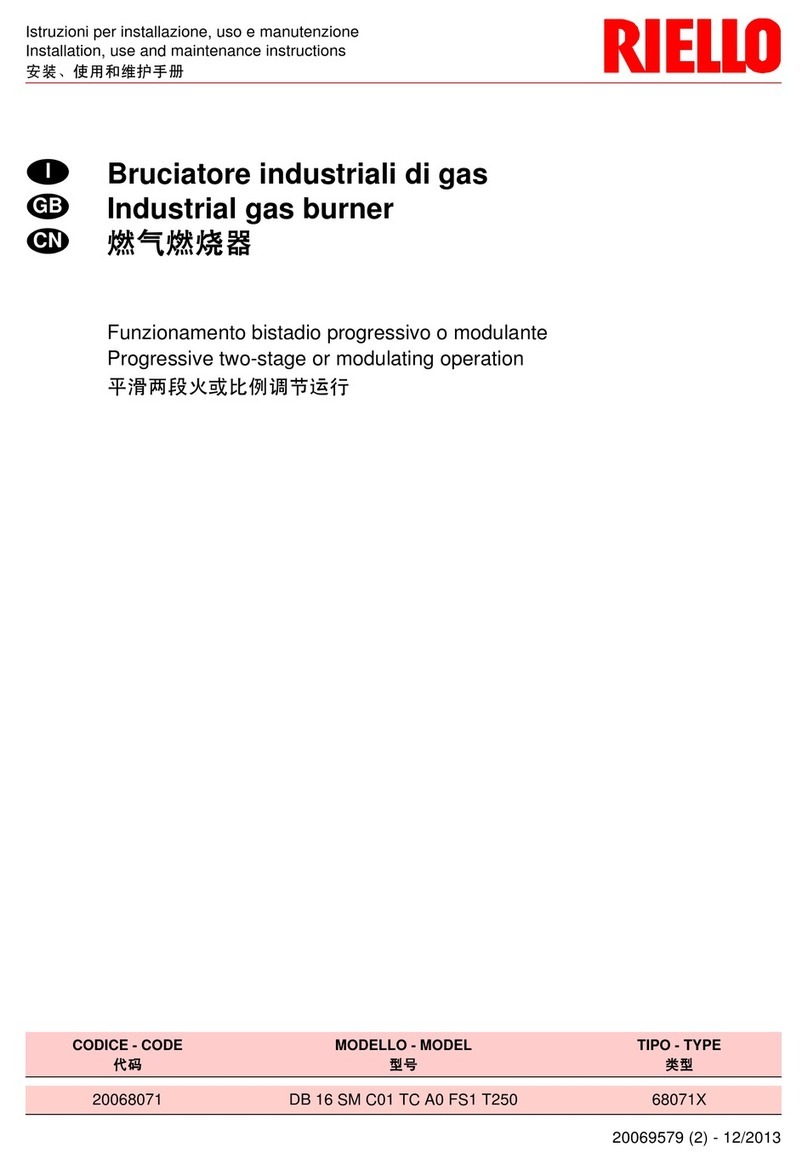 Riello DB 16 SM C01 TC A0 FS1 T250 Installation, use and maintenance instructions