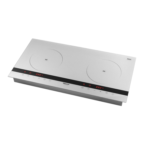 Rasonic RIC-S211E User manual