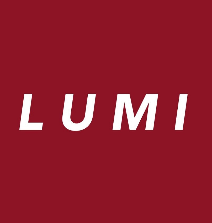 FANCII LUMI User manual