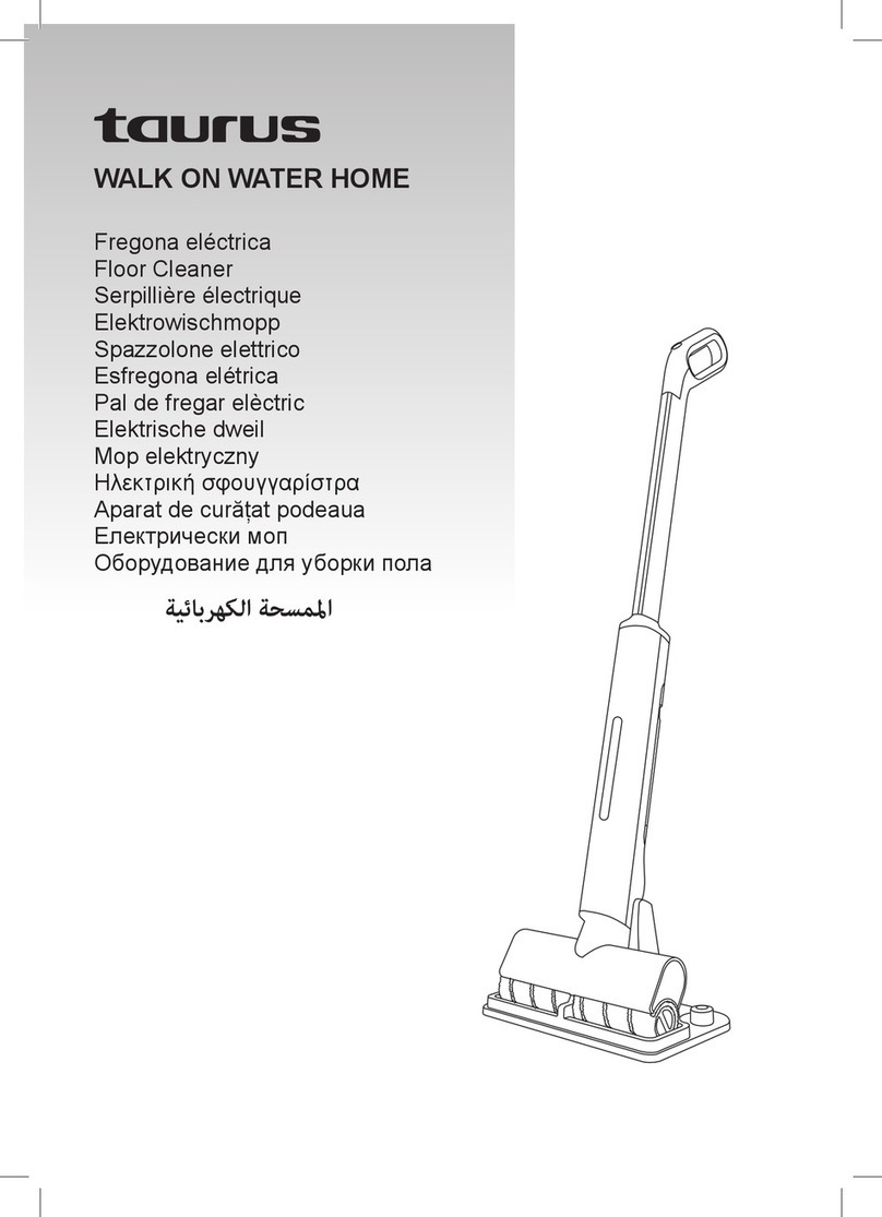 Taurus WALK ON WATER HOME manual