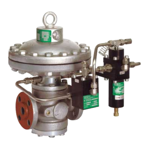 PIETRO FIORENTINI REFLUX 819 Technical manual