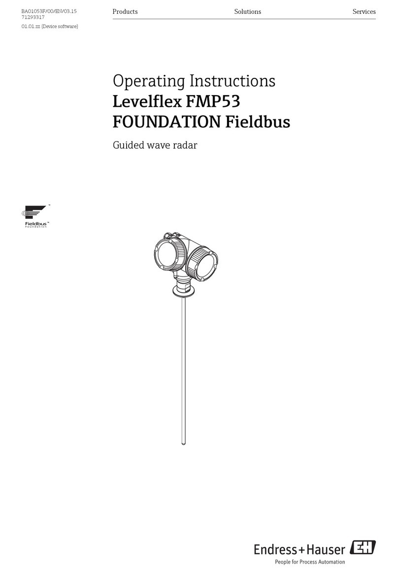 Endress+Hauser Levelflex FMP53 FOUNDATION Fieldbus operating instructions