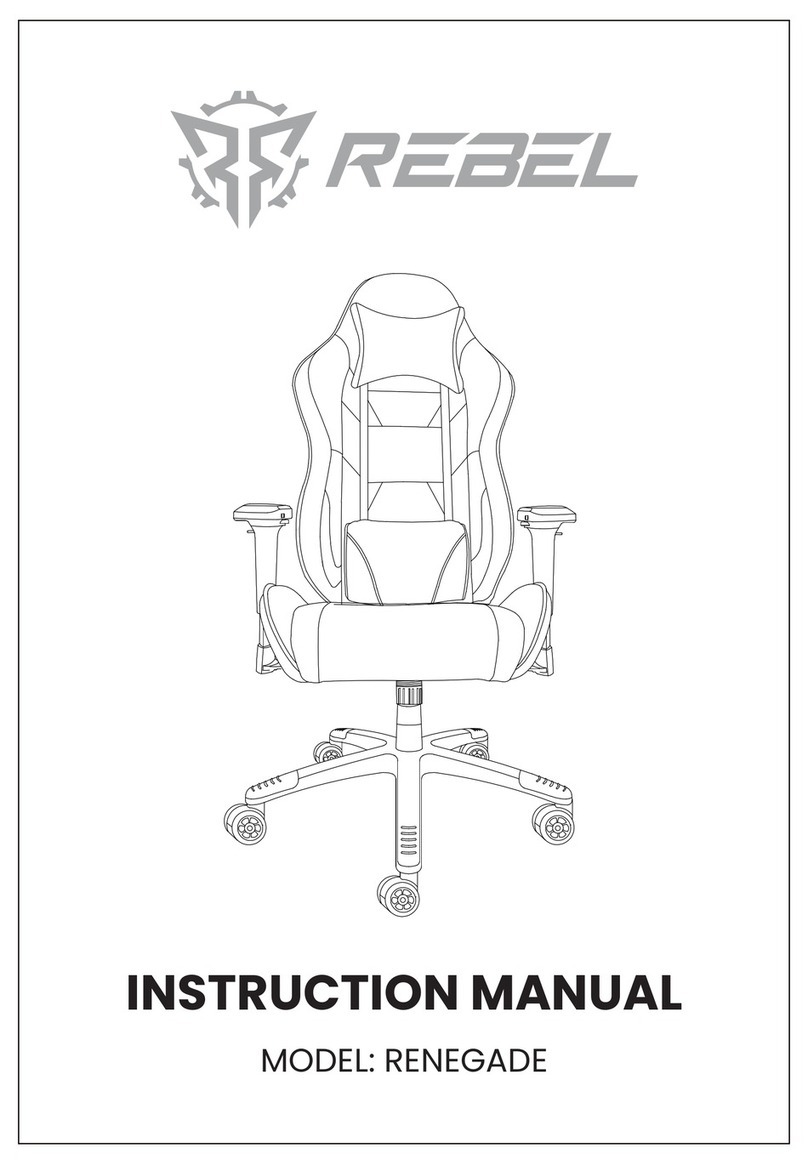 Rebel RENEGADE instruction manual