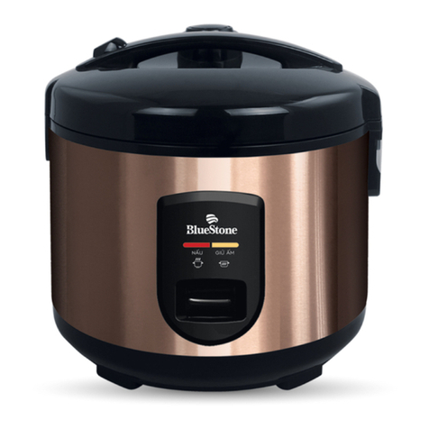 BLUE STONE RCB-5519 user manual