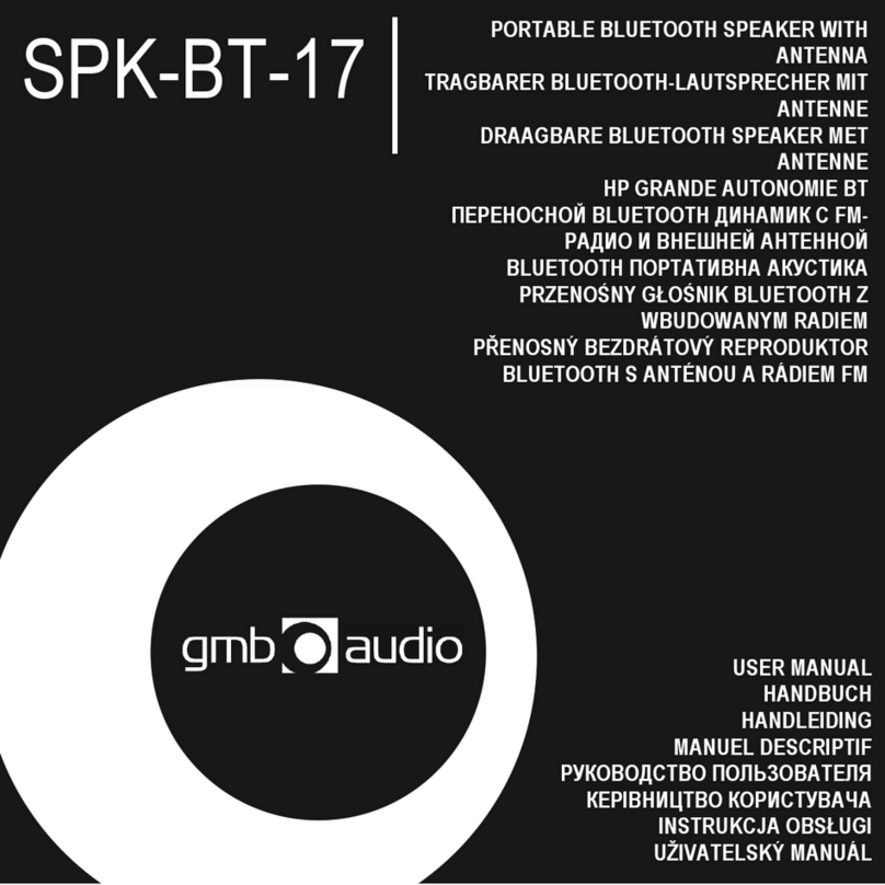 GMB Audio SPK-BT-17 User manual