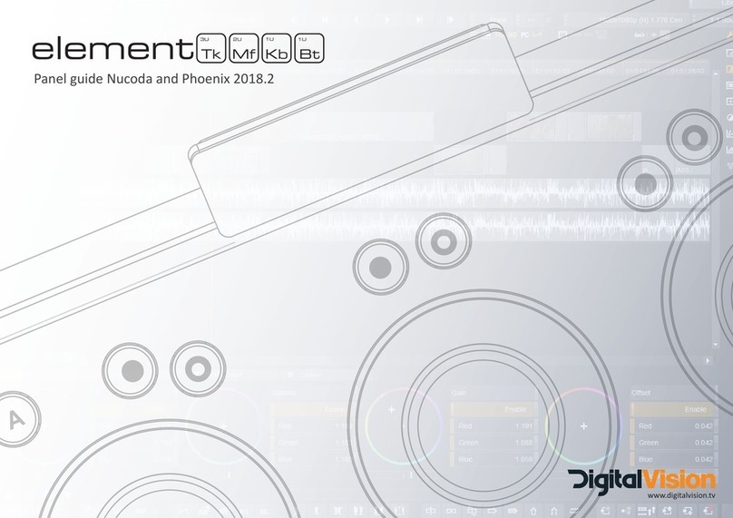 Digital Vision element User manual