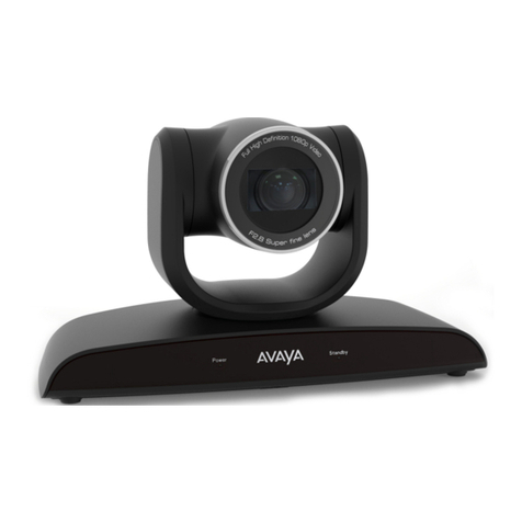 Avaya XT Flex User manual
