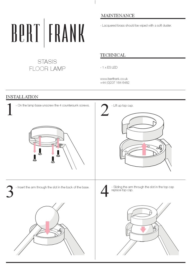 Bert Frank STASIS manual
