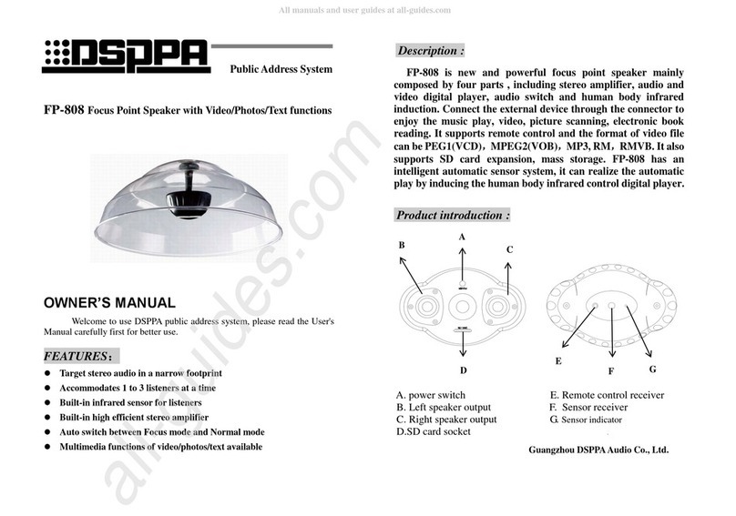 DSPPA FP-808 User manual