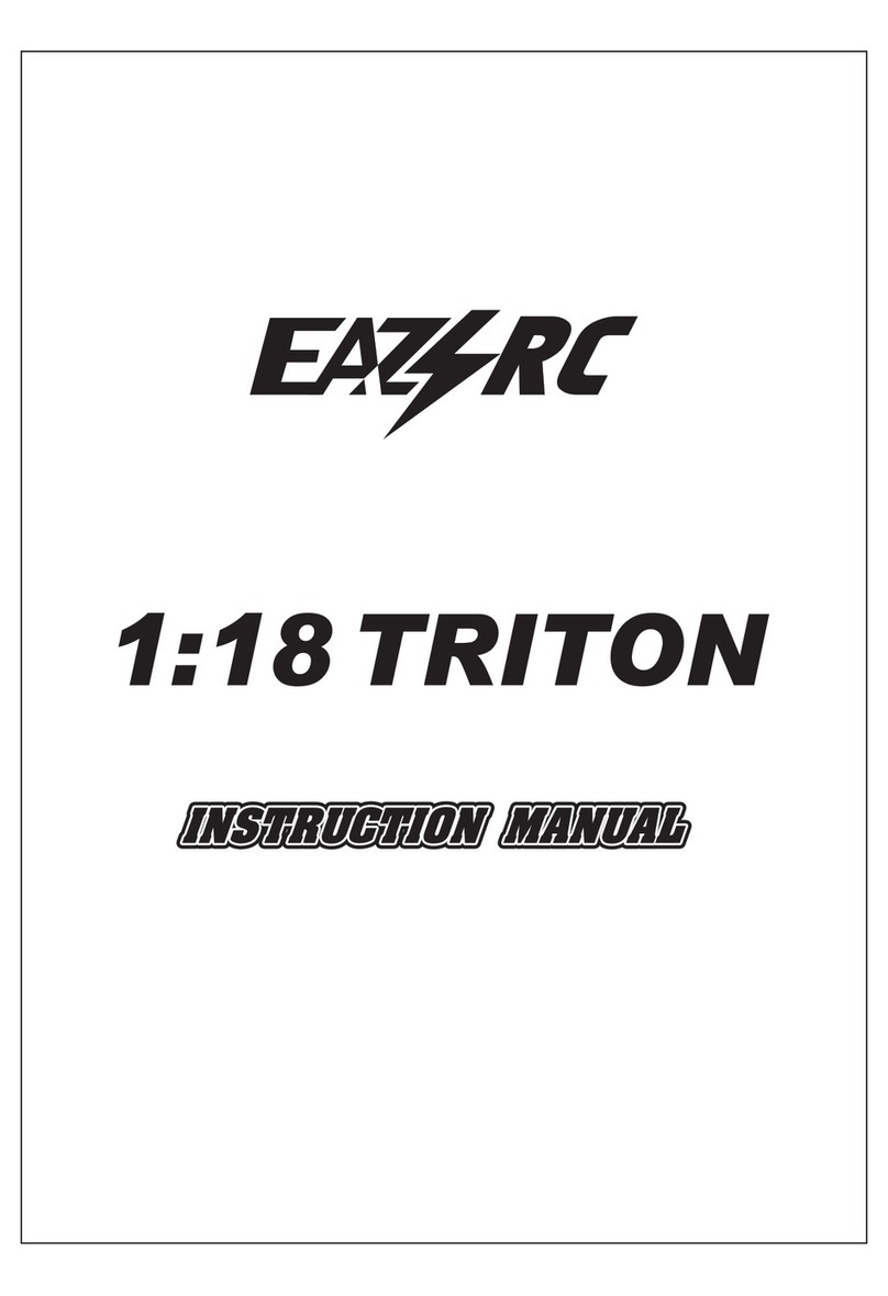 Eazy RC Triton instruction manual